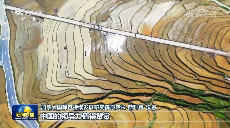 1689860258875027.png