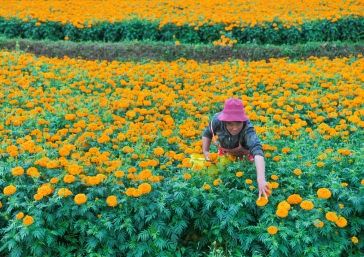 1762254989976068.png f9e35269-4c10-4dfe-8951-f61cc87e1d38.png