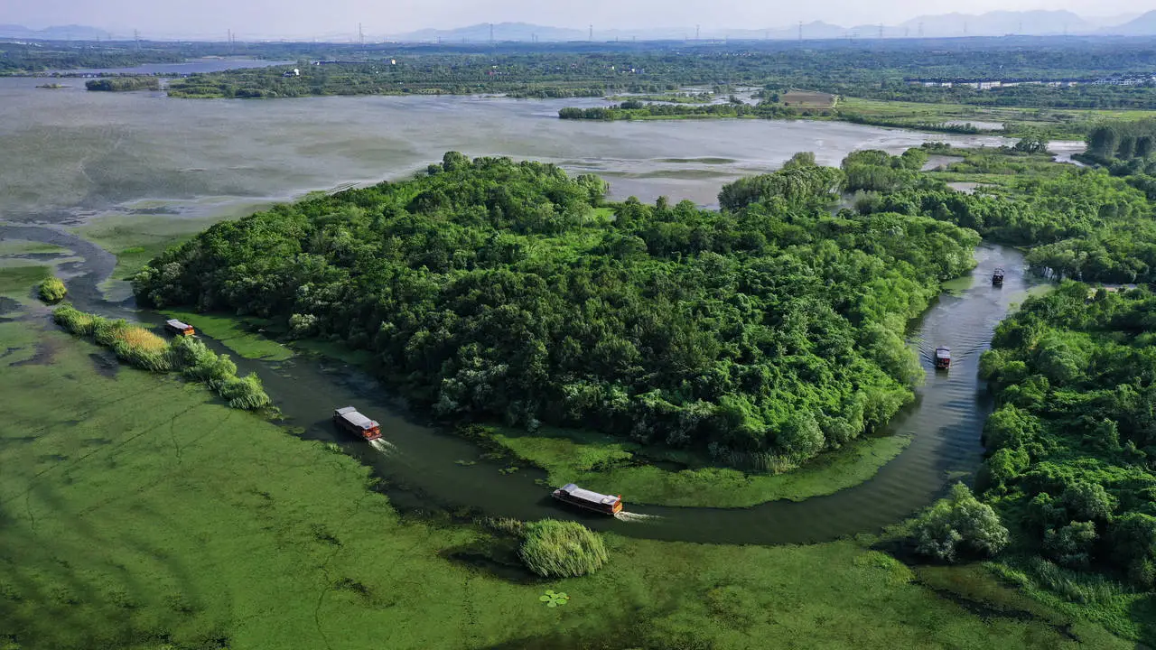 1765261262102050.png 1.png