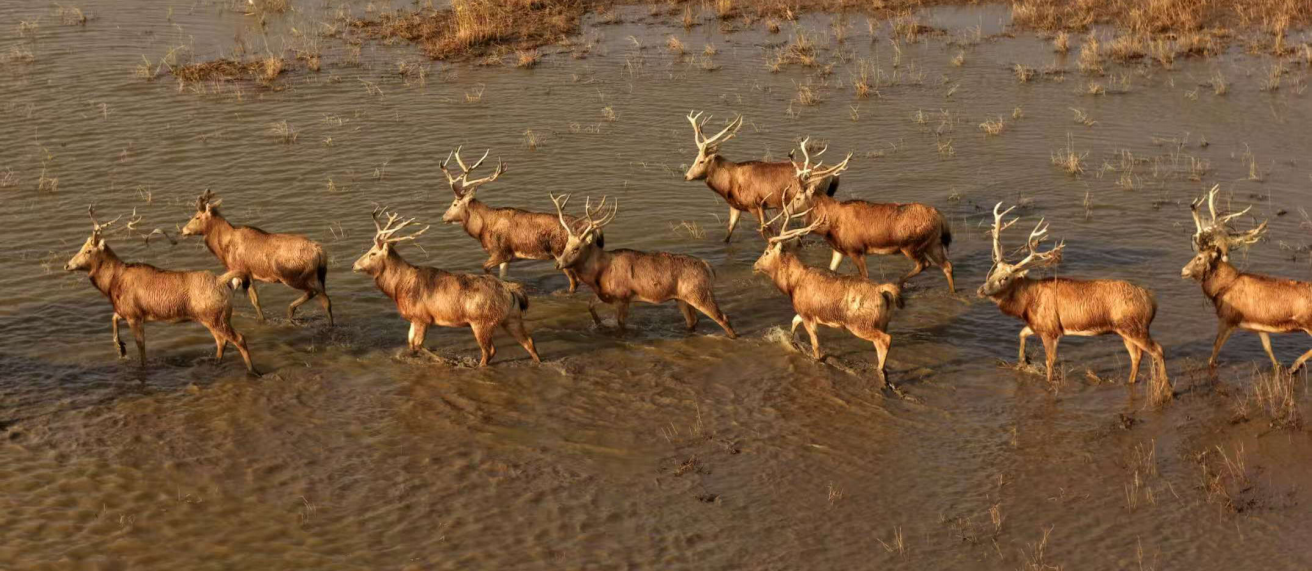 1772094015624475.png 图片1.png