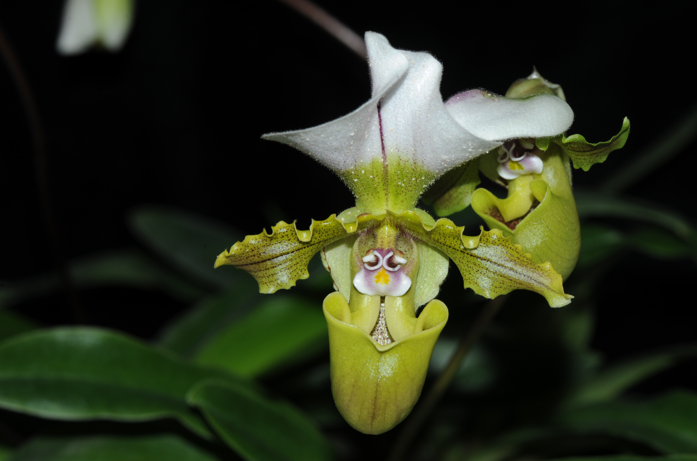 1772524664176595.png 235e3a7e-6e07-4d77-a587-b8d62e36f03b.png