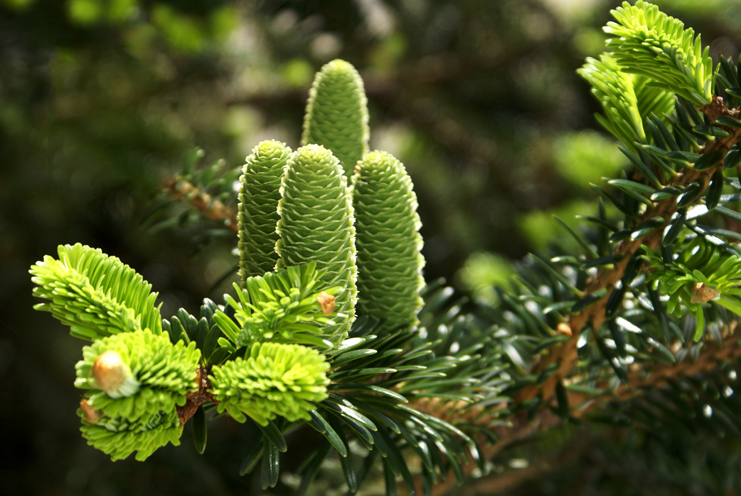 1772524685164461.jpg 2.jpg