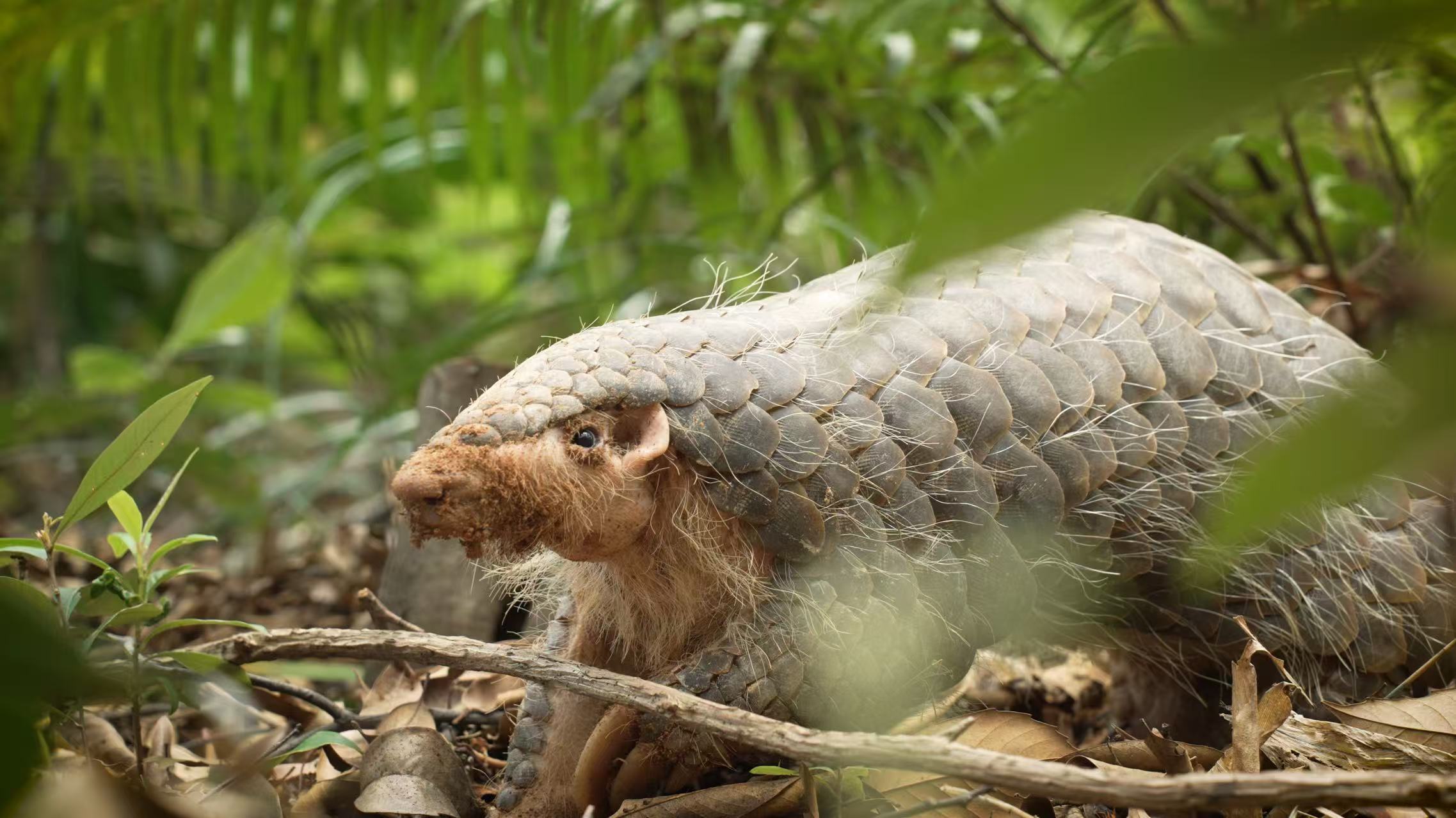 1772524713121047.jpg 3.jpg