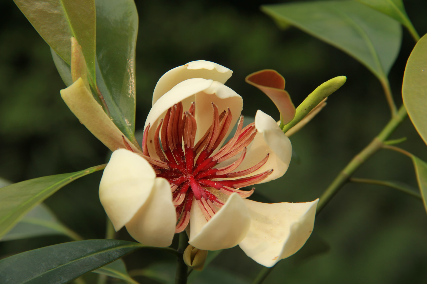 1772524796206324.png 8965deaa-9ac4-4c6f-ac86-f1e0d4d325d7.png