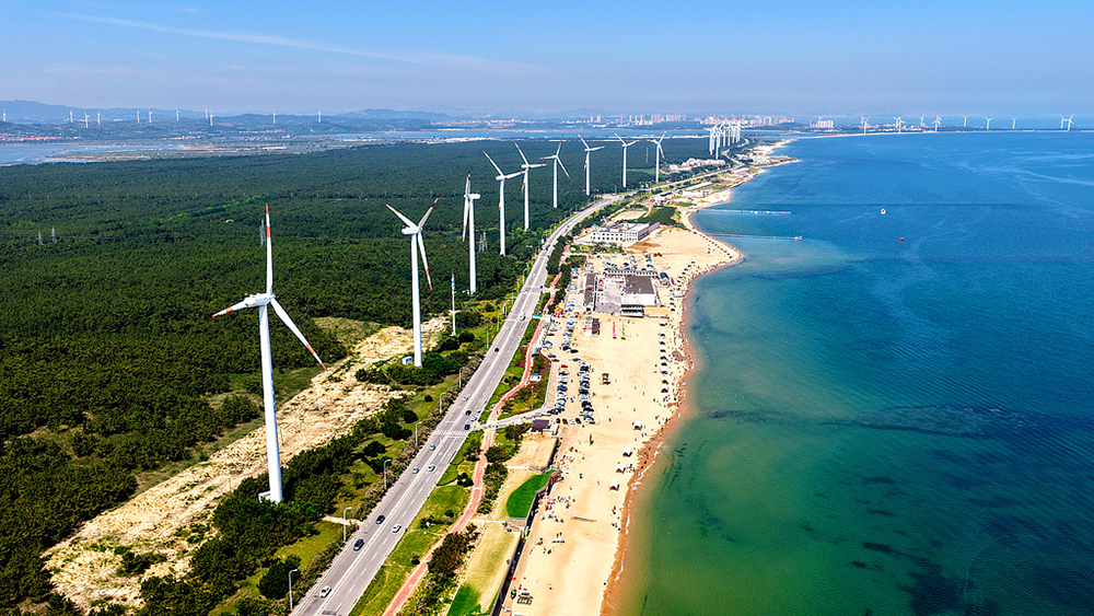 1773996820758227.png 1.png